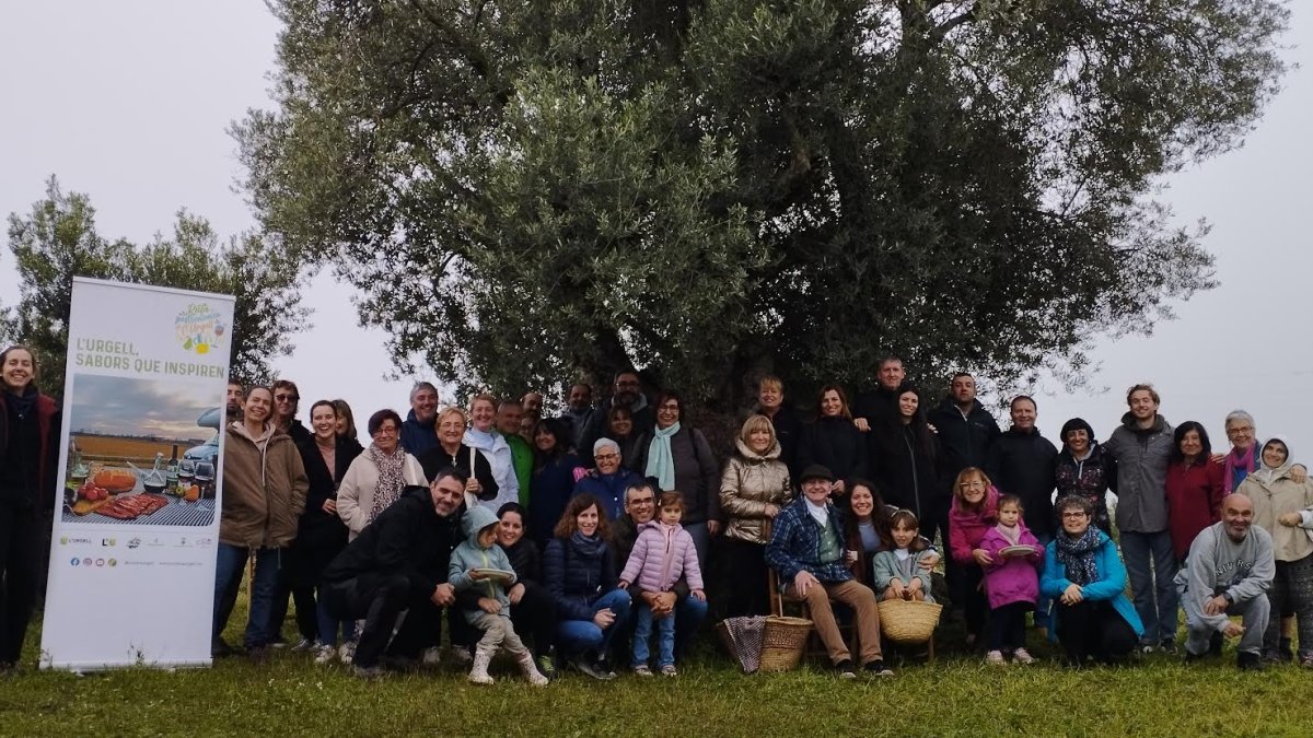 Mais de cem pessoas caminham entre oliveiras em Urgell